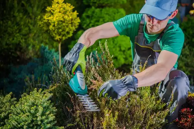 landscaping services Labadieville